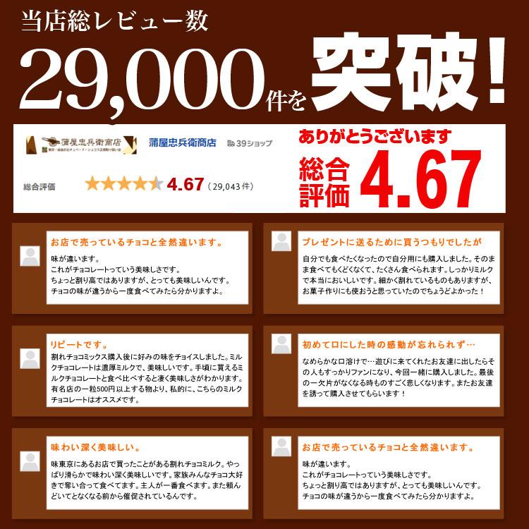 お試し割れチョコ 送料無料 東京 自由が丘 チュベ・ド・ショコラ 