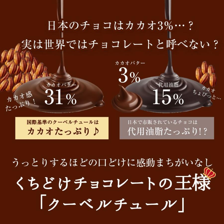 今だけ100円OFFクーポン 割れチョコ お試し チョコレート  クーベルチュール チュベ・ド・ショコラ チョコ お菓子 送料無料 爆買 | チュベ・ド・ショコラ | 26