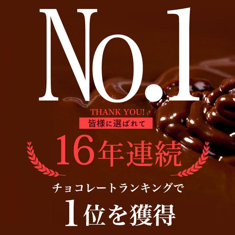 チュベ・ド・ショコラ バレンタイン 割れチョコ ミックス 600g