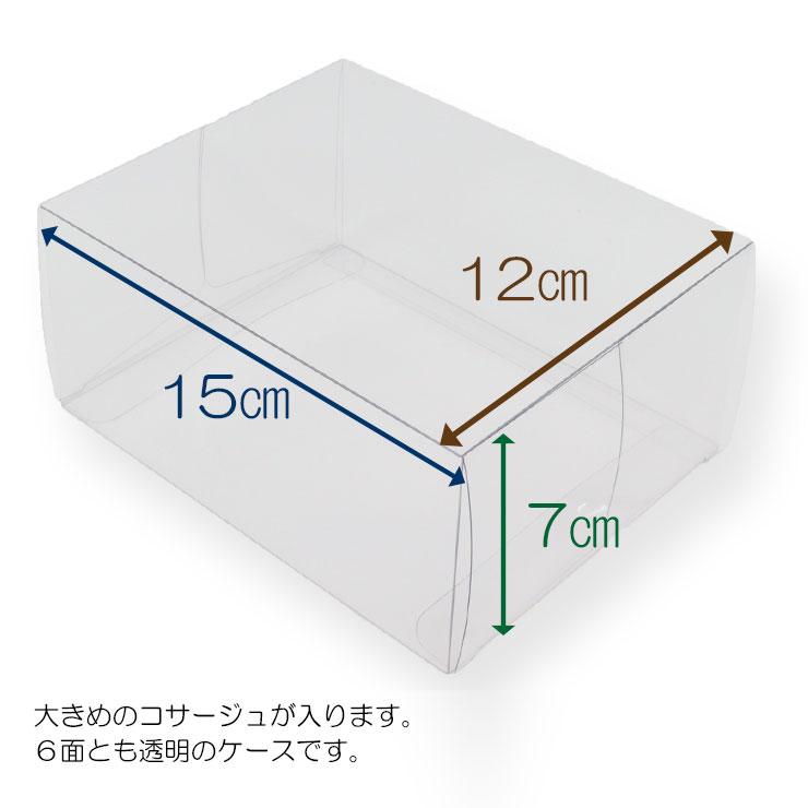 透明 ケース クリア ギフト ボックス 箱 ラッピング コサージュ 透明 ケース クリア ギフト ボックス 箱 ラッピング コサージュ