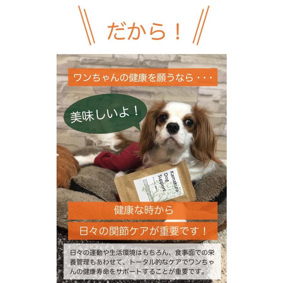 お試し版 犬用サプリメント Kamakuradogsupport グルコサミン関節ケア E101t 鎌倉dog 通販 Yahoo ショッピング