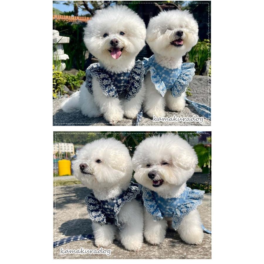 ガーリーデニムハーネス kamakuradog（鎌倉DOG） レースデニムハーネスリード 犬の服 : 鎌倉DOG