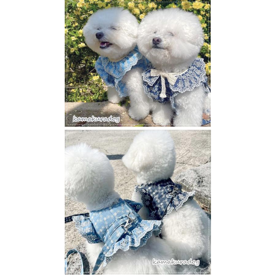 kamakuradog（鎌倉DOG） レースデニムハーネスリード 犬の服 : 鎌倉DOG