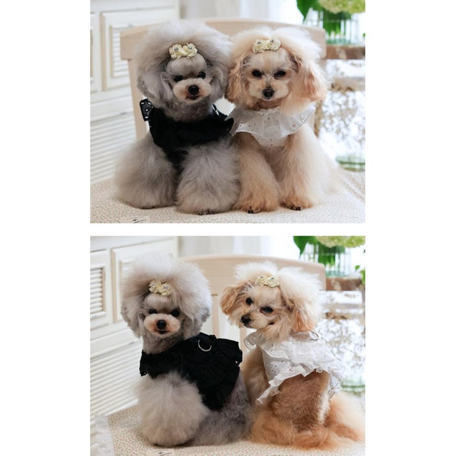 フリル レース ハーネス・リードセット 犬 kamakuradog フリルレースハーネス・リード 犬の服 : 鎌倉DOG
