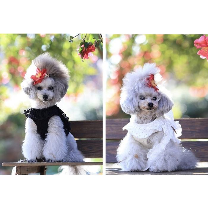kamakuradog（鎌倉DOG） フリルレースハーネス・リード 犬の服 : 鎌倉