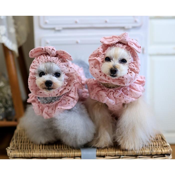 kamakuradog（鎌倉DOG） フリルレースハーネス・リード 犬の服 : 鎌倉