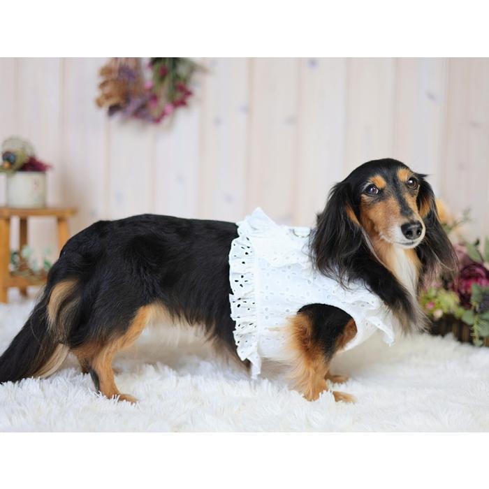 kamakuradog（鎌倉DOG） フリルレースハーネス・リード 犬の服 : 鎌倉