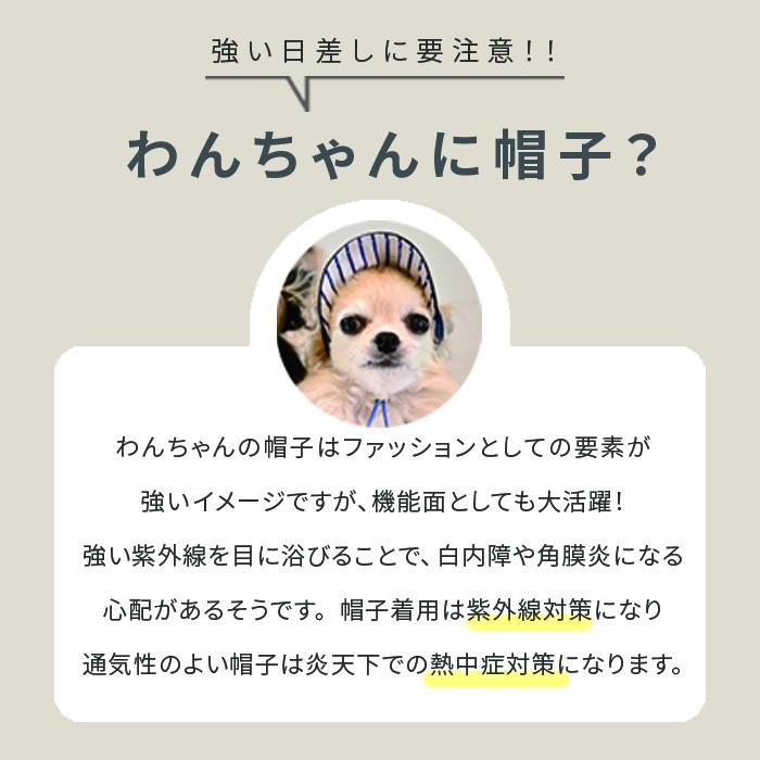 kamakuradog（鎌倉DOG） デニム風キャップ 犬の服 : 鎌倉DOG Yahoo!店