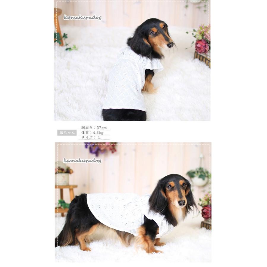 kamakuradog（鎌倉DOG） ノーブルチュニック 犬の服 : 鎌倉DOG Yahoo