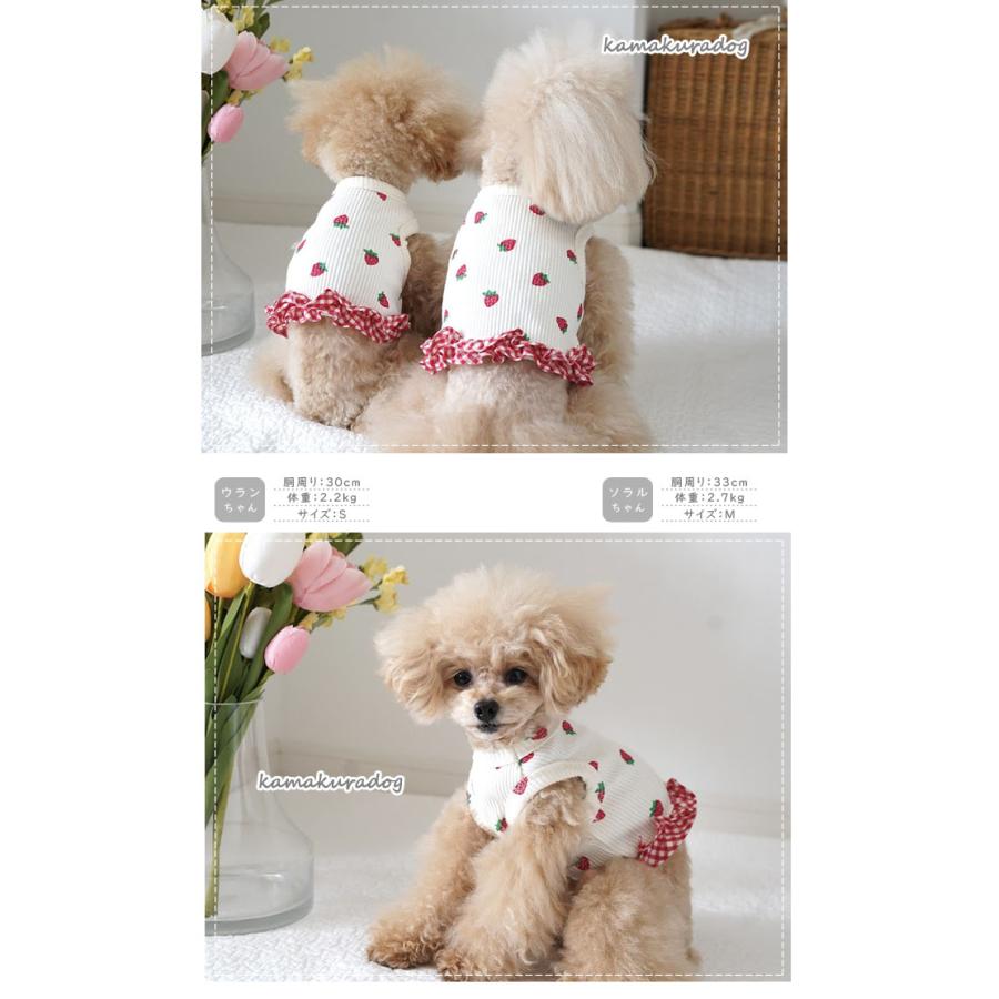 kamakuradog ショート丈プチフルーツ 犬の服 : 鎌倉DOG Yahoo!店 kamakuradog ショート丈プチフルーツ 犬の服 : 鎌倉DOG Yahoo!店