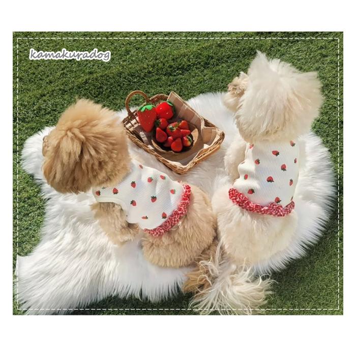 犬服 3S わんこの普段着　フルーツカシェモア　きなり 犬服 3S わんこの普段着フルーツカシェモアきなり
