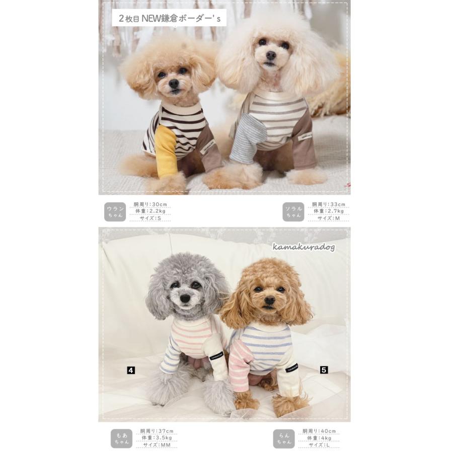 【あまり（ヨ　ヨ）】犬服 4点セット 犬の洋服屋さん Yahoo!店