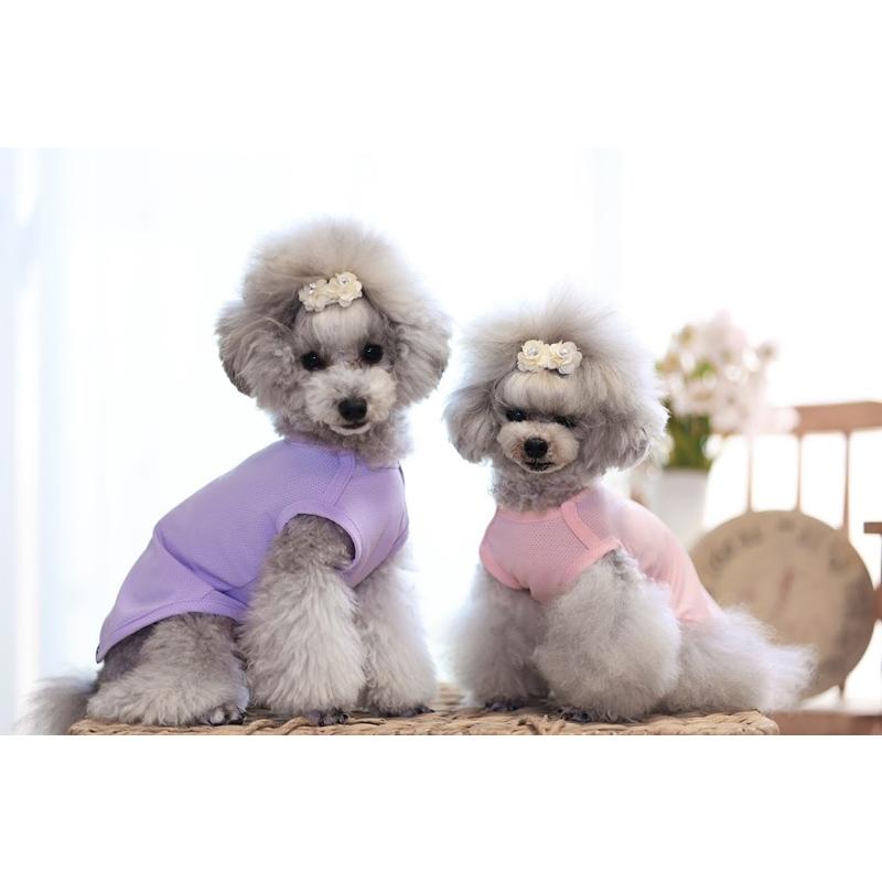 kamakuradog（鎌倉DOG） UVケアウェーブメッシュタンク 犬の服 : 鎌倉