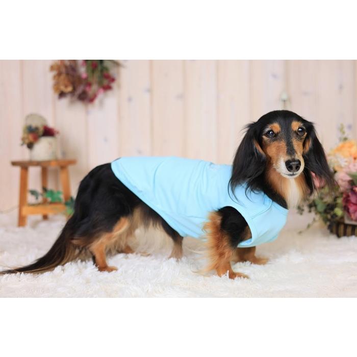 kamakuradog（鎌倉DOG） UVケアウェーブメッシュタンク 犬の服 : 鎌倉