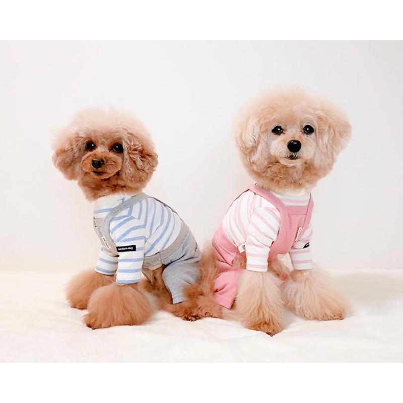 kamakuradog（鎌倉DOG） 鎌倉ボーダー's 犬服 ドッグウェア ボーダー