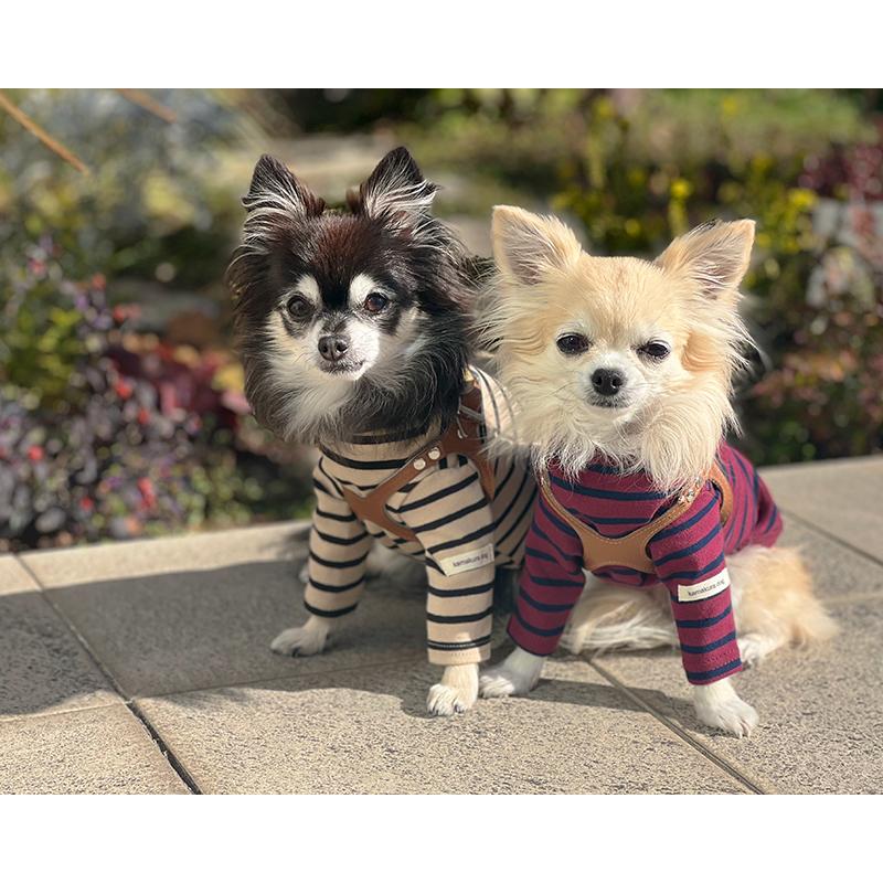 kamakuradog（鎌倉DOG） 鎌倉ボーダー's 犬の服 人気 : 鎌倉DOG Yahoo