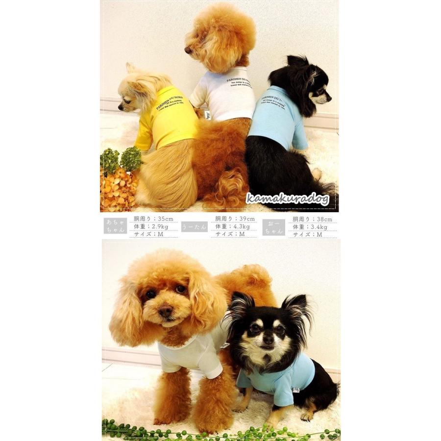 シンプルショート丈ｔシャツ トイプードル 服 T728 鎌倉dog Yahoo 店 通販 Yahoo ショッピング