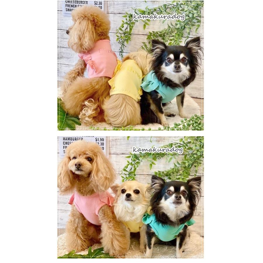 SALE／94%OFF】シャーベットカラー（ショートタイプ） 犬 服 犬服、アクセサリー