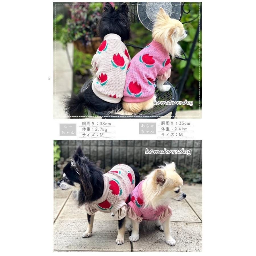 kamakuradog（鎌倉DOG） 重ね着風チューリップニット 犬の服 : 鎌倉DOG