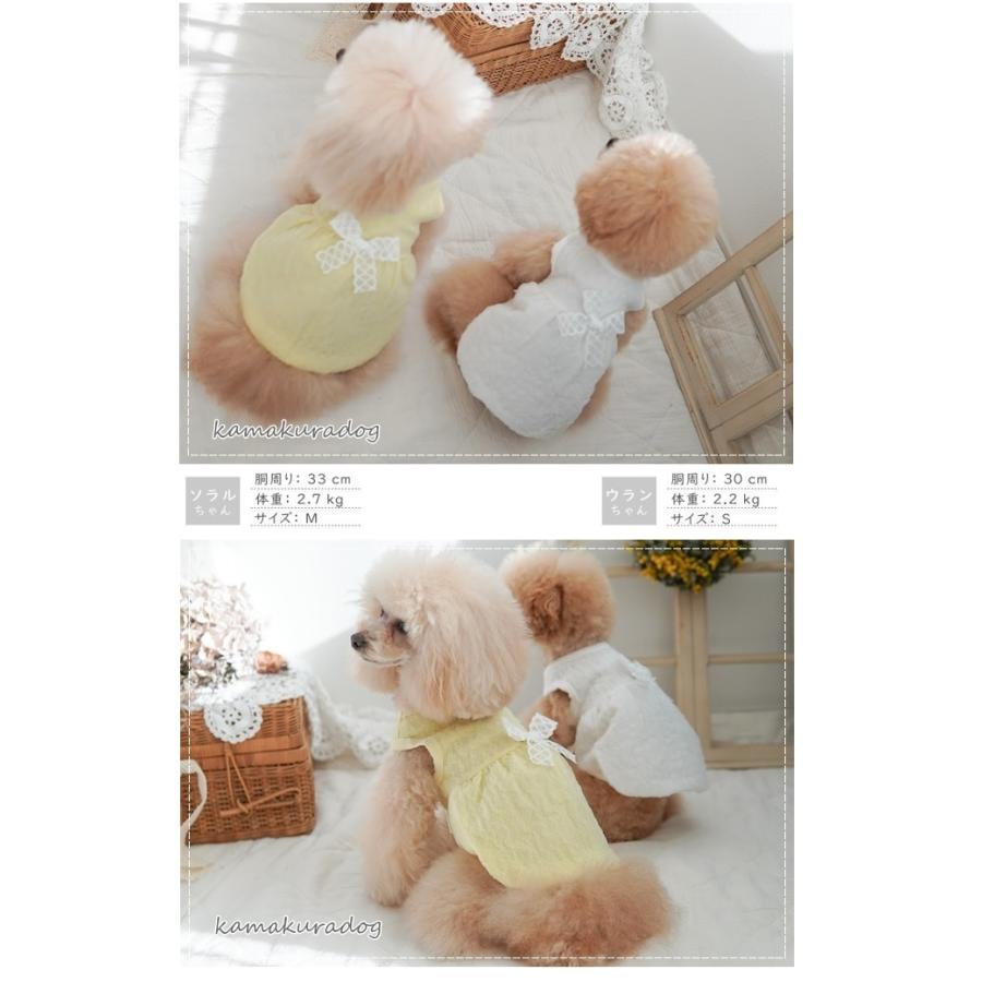 メール便送料無料対応可 青森ヒバ油ペットフレッシュナー Dog 3本セット Dprd Jatimprov Go Id