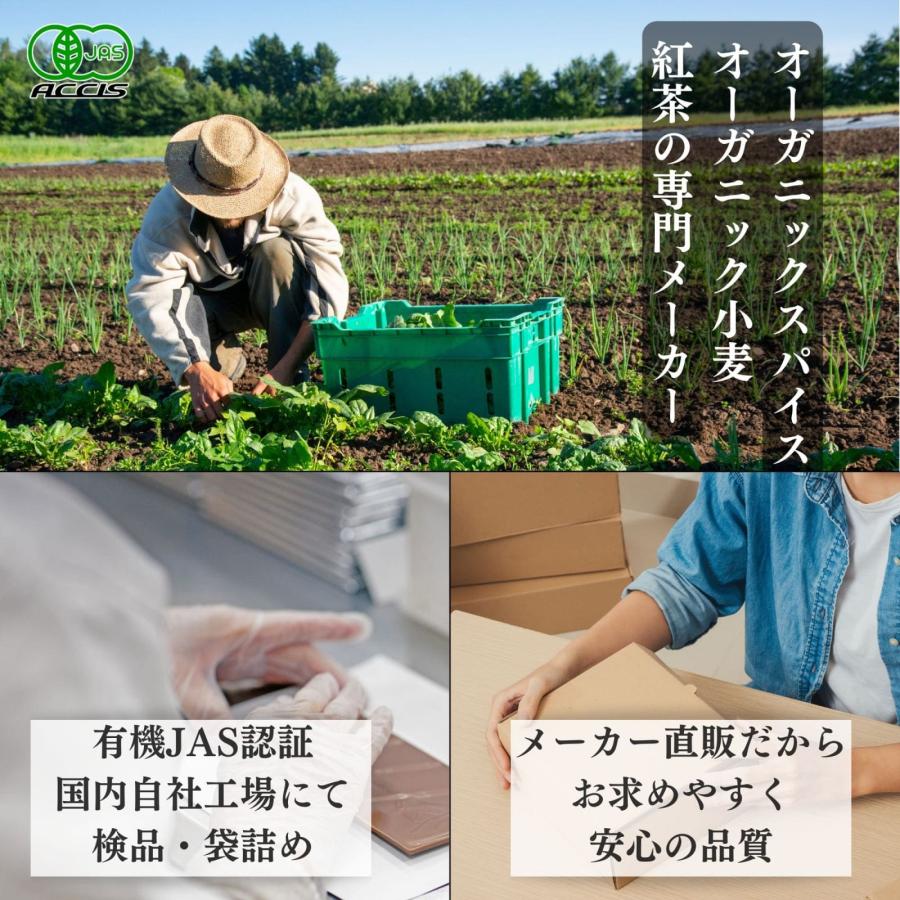 オーガニック ターメリックパウダー 500g 業務用 ベトナム産 有機JAS認証 農薬不使用 無化学肥料  (ネコポス配送）  鎌倉てとら  (鎌倉香辛料）  ポイント消化 |  | 02