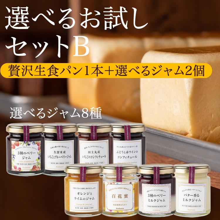 【TVで紹介】しっとりもちもちの高級食パン「選べるお試しセットB」 食パン ジャム 冷凍 パン 贈り物 お土産  ギフト パン（Yahoo!・贅沢生食パン工房 鎌倉屋）