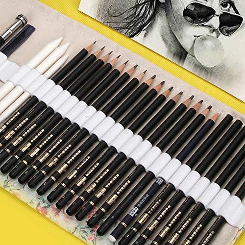 Akura スケッチ鉛筆 素描鉛筆 デッサン鉛筆 31点セット スケッチ描画アートツール 消しゴム 鉛筆削り 素描 美術 絵画 収納ケーズ付き 携帯便 S 1216 Kaマート 通販 Yahoo ショッピング