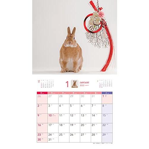 当店の記念日 みんなのうさぎ カレンダー Calendar22 Happy カレンダー Www We Job Com