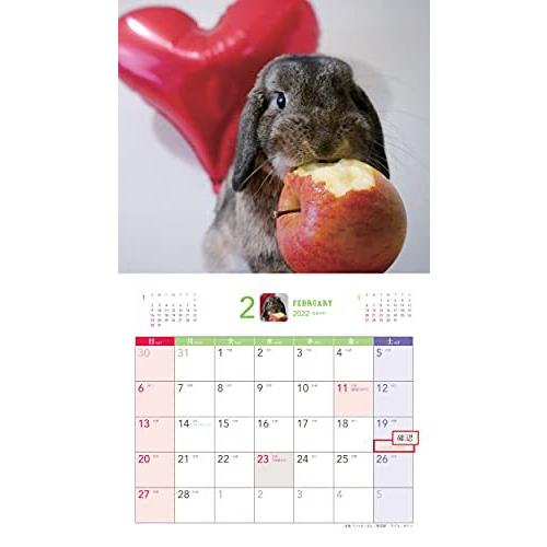 低価格の みんなのうさぎ カレンダー Calendar22 Happy カレンダー Www We Job Com
