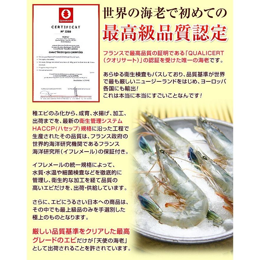 天使の海老 特大 1kg 20-30尾入 天使のエビ 天使のえび 20/30 20-30匹 敬老の日 プレゼント |  | 02