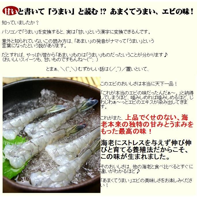 天使の海老 特大 1kg 20-30尾入 天使のエビ 天使のえび 20/30 20-30匹 敬老の日 プレゼント |  | 03