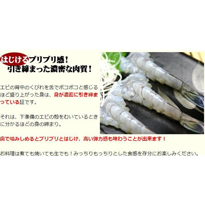 天使の海老 特大 1kg 20-30尾入 天使のエビ 天使のえび 20/30 20-30匹 敬老の日 プレゼント |  | 04