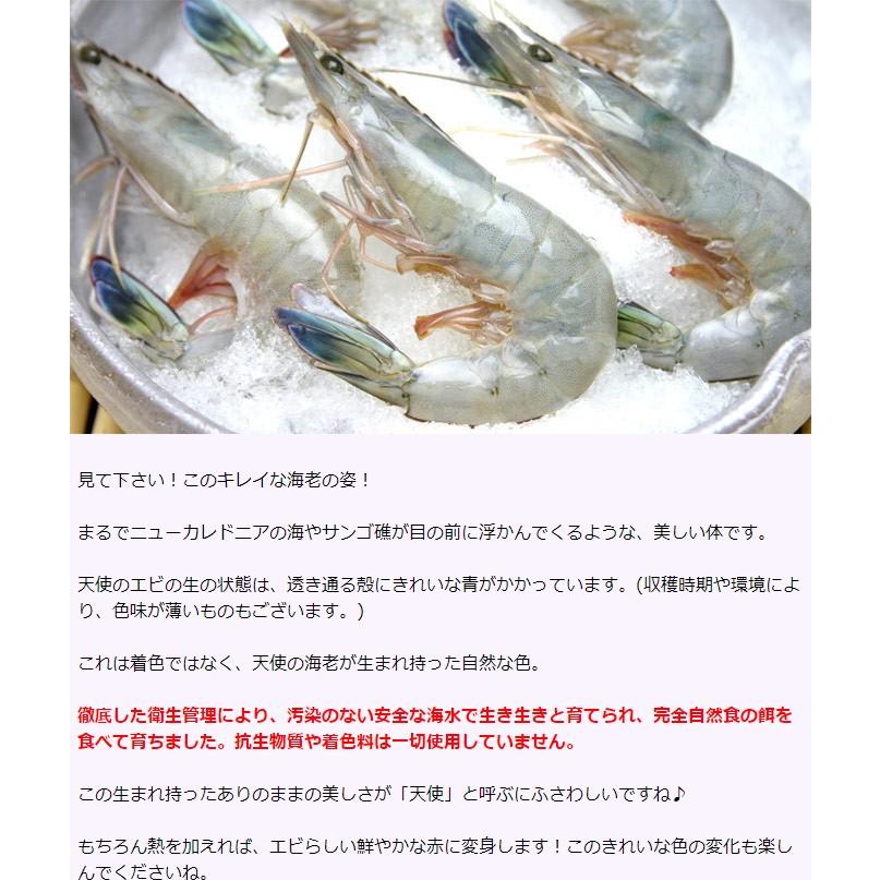 天使の海老 特大 1kg 20-30尾入 天使のエビ 天使のえび 20/30 20-30匹 敬老の日 プレゼント |  | 05
