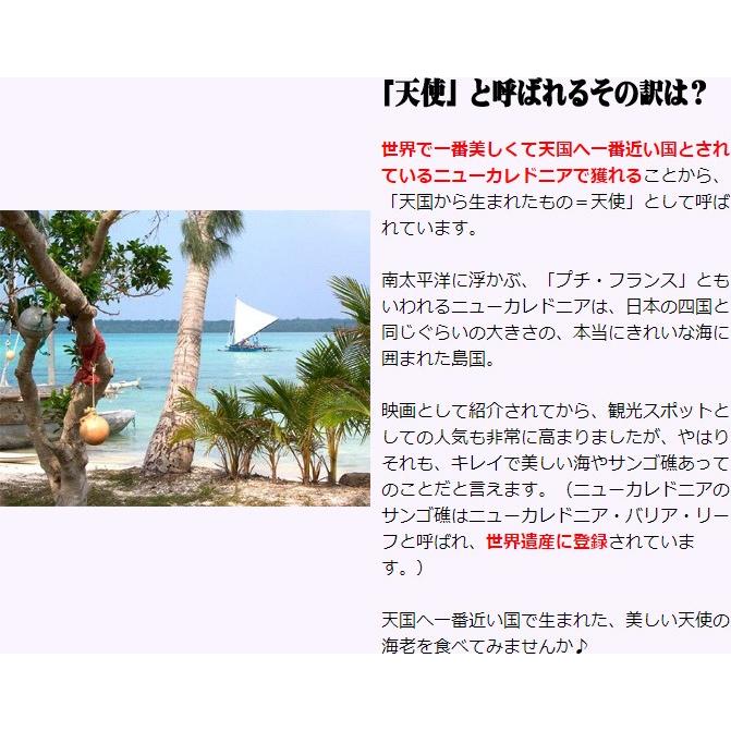 天使の海老 特大 1kg 20-30尾入 天使のエビ 天使のえび 20/30 20-30匹 敬老の日 プレゼント |  | 07
