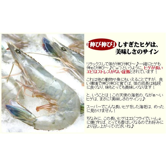 天使の海老 特大 1kg 20-30尾入 天使のエビ 天使のえび 20/30 20-30匹 敬老の日 プレゼント |  | 08