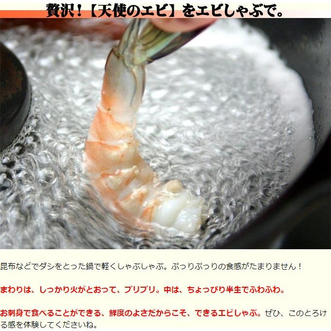 天使の海老 特大 1kg 20-30尾入 天使のエビ 天使のえび 20/30 20-30匹 敬老の日 プレゼント |  | 09