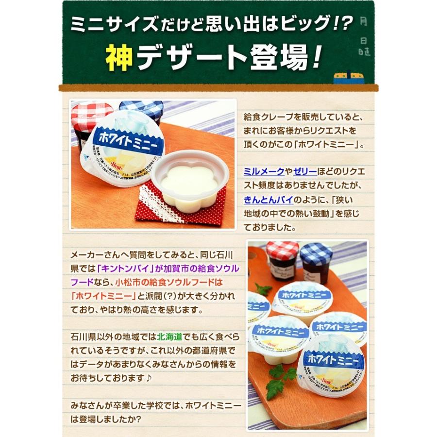 学校給食デザート ホワイトミニー 40ヶ入 1箱 冷凍 バラ詰め 業務用 
