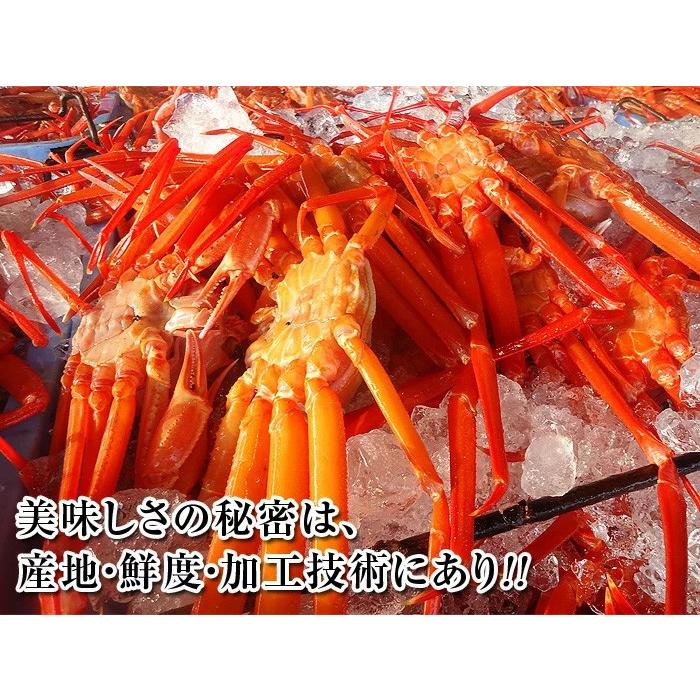 カニ味噌 8個 蟹味噌 カニみそ かに味噌 蟹みそ かにみそ カニミソ ズワイガニ身入りカニ味噌 高級カニ味噌_3