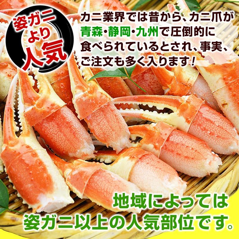 ご奉仕品 ボイル ズワイガニ爪 リングカット 総重量1kg 内容量810g 26 30玉入 レギュラーサイズ ずわいがに ズワイ蟹 ずわい蟹 かに カニ 蟹 爪 211 名代 釜庄 通販 Yahoo ショッピング