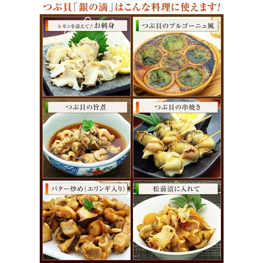 つぶ貝 刺身 つぶ貝ボイル ツブ貝 1kg 銀の滴 または 銀の響 誕生日 プレゼント ギフト 海鮮 お祝い ごちそう 名代 釜庄 通販 Yahoo ショッピング