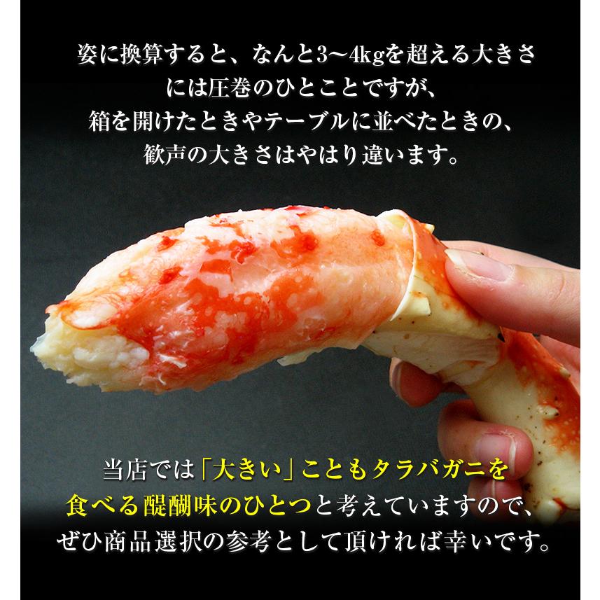 特大 タラバガニ 超特大 ジャンボ サイズ 半身 一肩分 総重量1.9kg前後