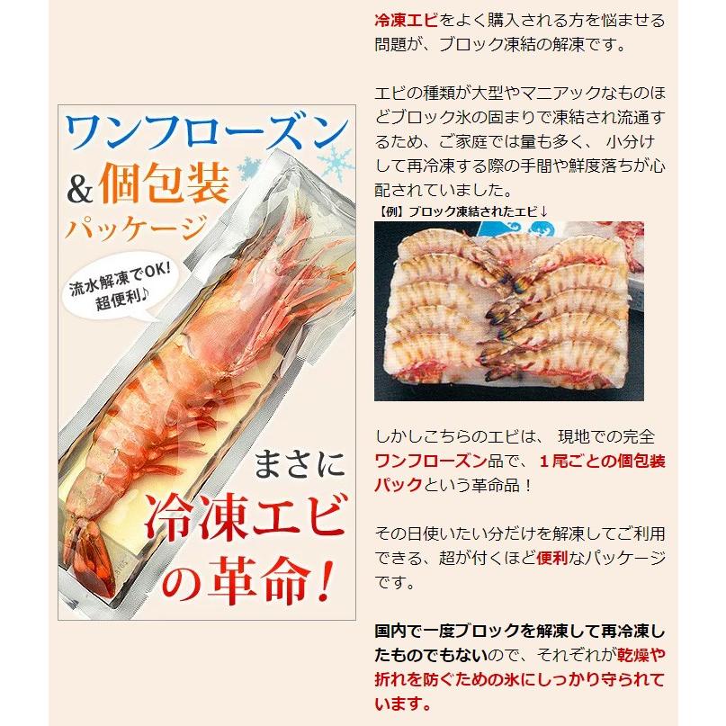 特大 冷凍 シータイガー ジャンボエビ 皇帝の海老 有頭えび 単品 1尾150-179g 約27-28cm 個包装 特大エビ 敬老の日 プレゼント |  | 06