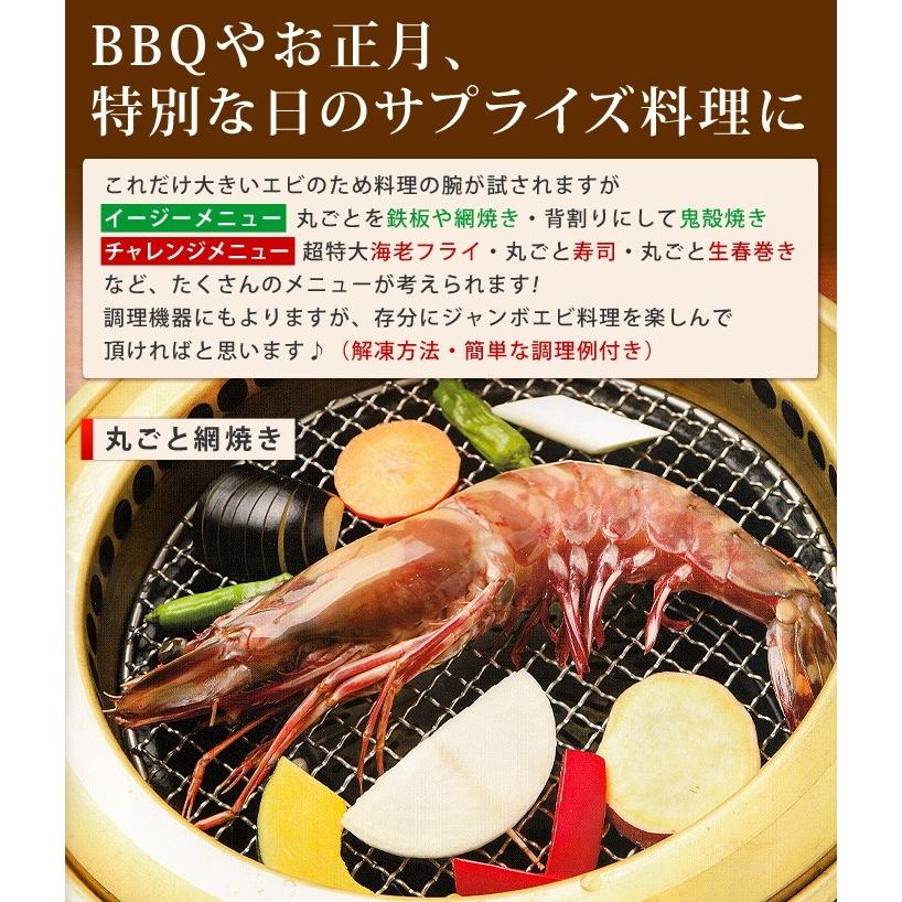 特大 冷凍 シータイガー ジャンボエビ 皇帝の海老 有頭えび 単品 1尾