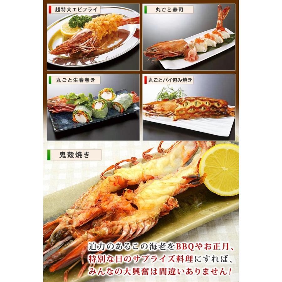 特大 冷凍 天然 シータイガー ジャンボエビ 皇帝の海老 エビ 海老 有頭えび 4尾セット 1尾150-179g 約27-28cm 個包装 特大エビ 敬老の日 プレゼント |  | 08