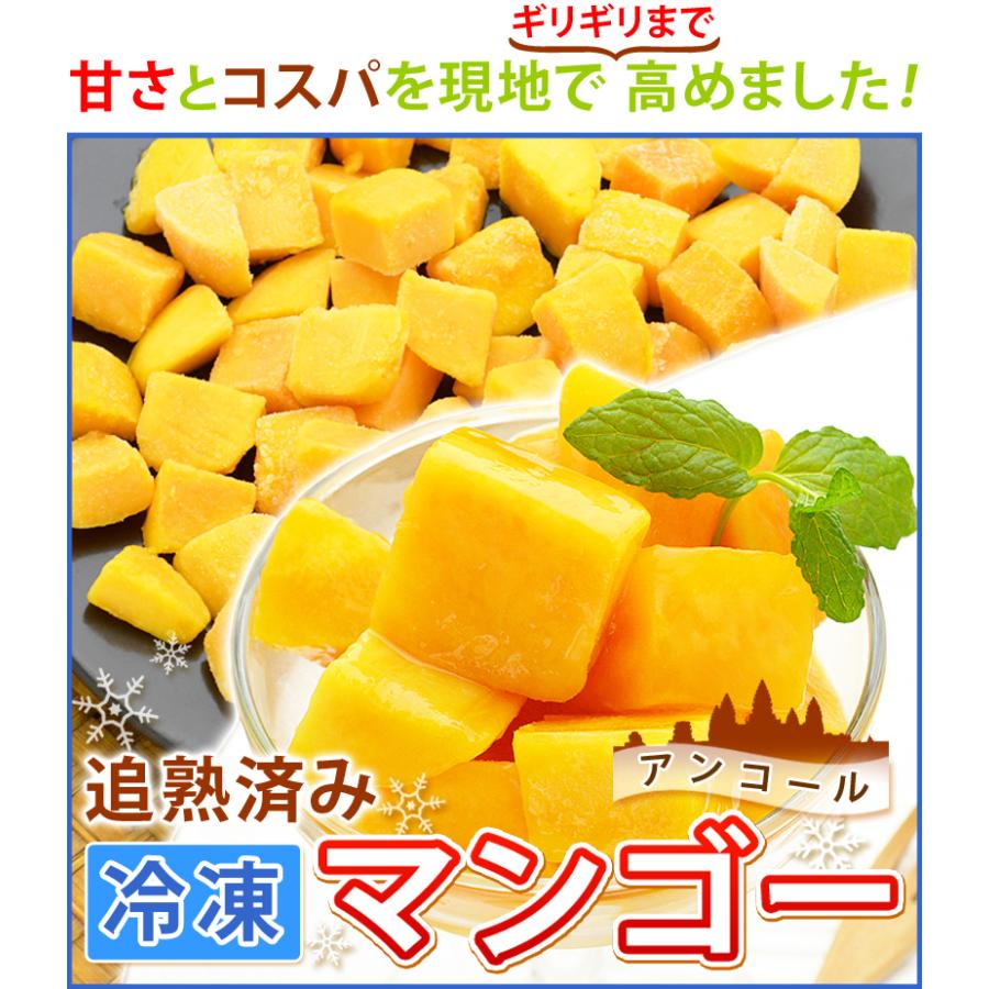 冷凍 マンゴー カット済み 完熟マンゴー 500gを20袋 計10kg アンコール