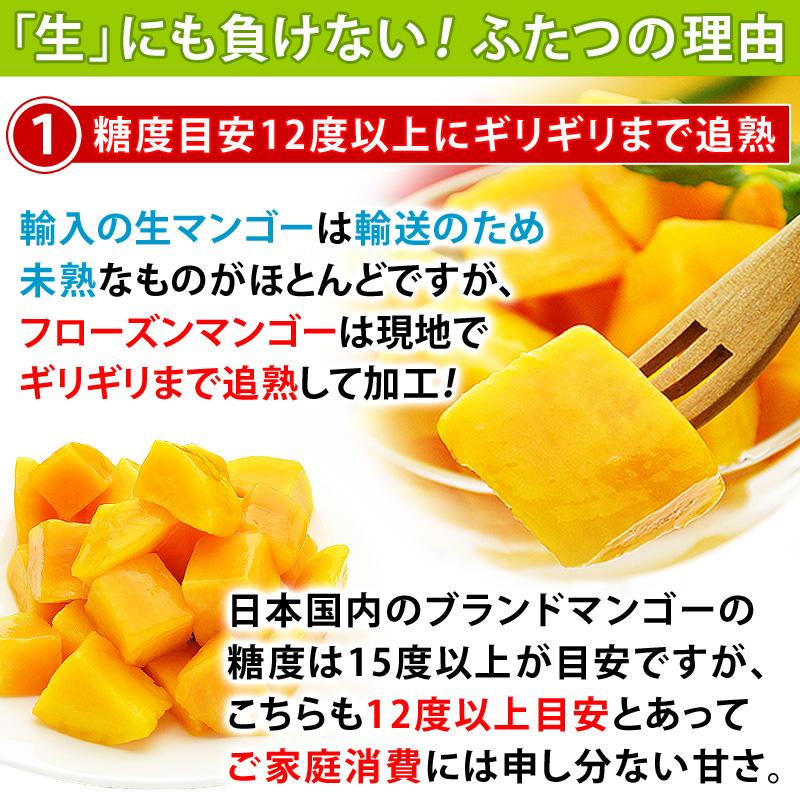 冷凍 マンゴー カット済み 完熟マンゴー 500gを20袋 計10kg アンコール
