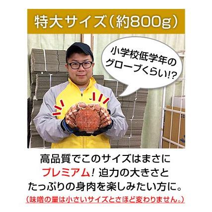 カニ 毛ガニ 特大 毛蟹 姿 毛ガニ特大 北海道 けがに 約800g 1尾