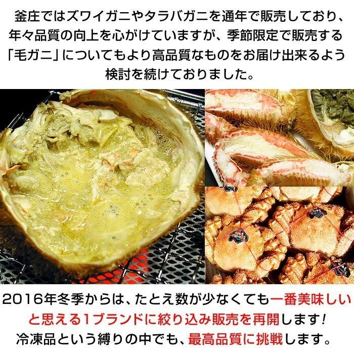 カニ 毛ガニ 特大 毛蟹 姿 毛ガニ特大 北海道 けがに 約800g 1尾