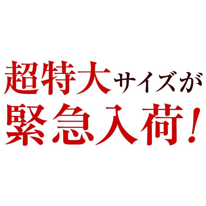 カニ 超特大 特大 サイズ タラバガニ 棒肉 むき身 1kg 4-6本入
