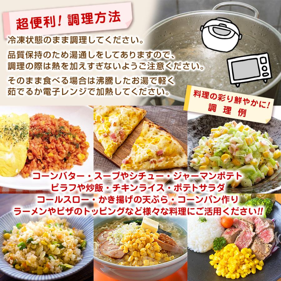 北海道産 粒コーン ホールコーン 内容量1kg×2 計2kg 冷凍 コーン 冷凍